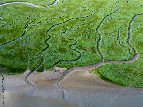 Aerial view of tidal channels and gullies, Saeftinge, The Netherlands