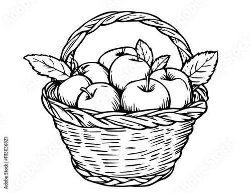 artistic hand-drawn apple basket with intricate line details