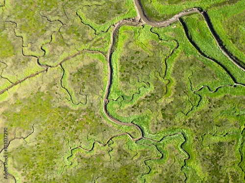 Aerial view of tidal channels and gullies, Saeftinge, The Netherlands photo