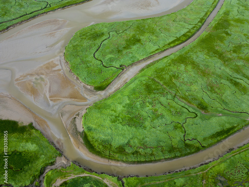 Aerial view of tidal channels and gullies, Saeftinge, The Netherlands photo