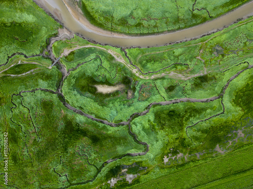 Aerial view of tidal channels and gullies, Saeftinge, The Netherlands photo