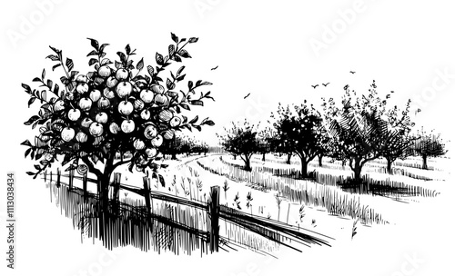 scenic countryside orchard sketch in black vector