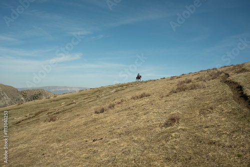 Horseman in the distance photo