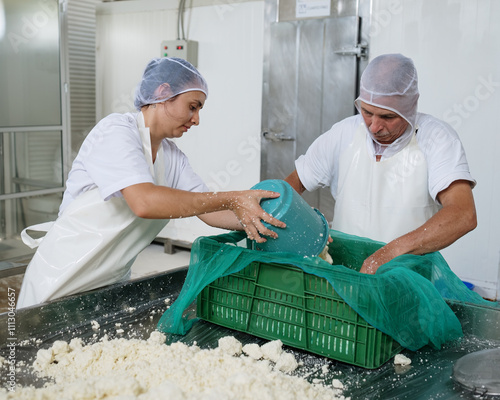 Cheese factory workers transferring cheese curds into container photo