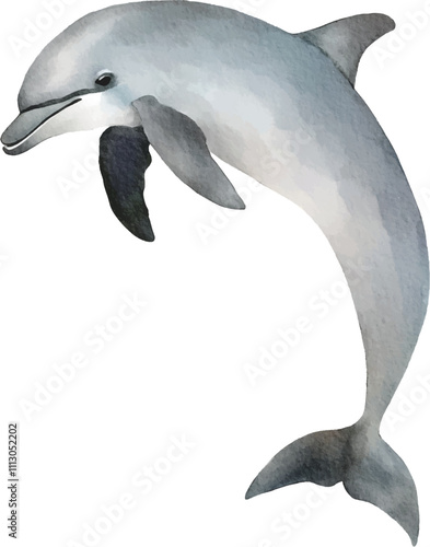 Watercolor painting of a grey dolphin