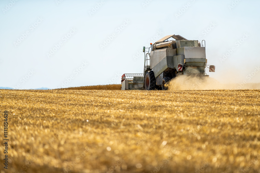 Obraz premium Combine harvester at work, cutting through ripe wheat in a sprawling field under a clear sky