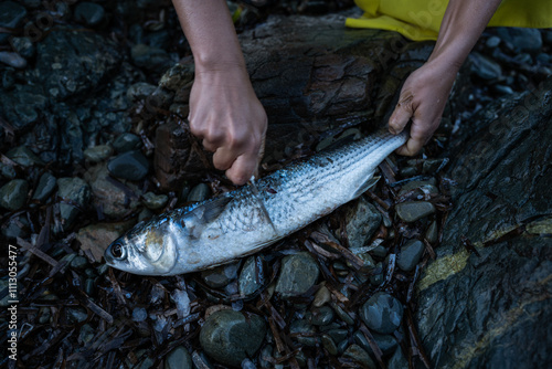 Woman cleaning a just caught fish photo