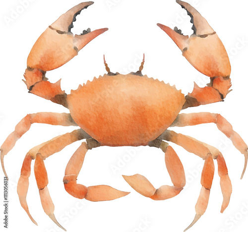 Watercolor painting of a Crab, watercolor illustration, perfect for children's design