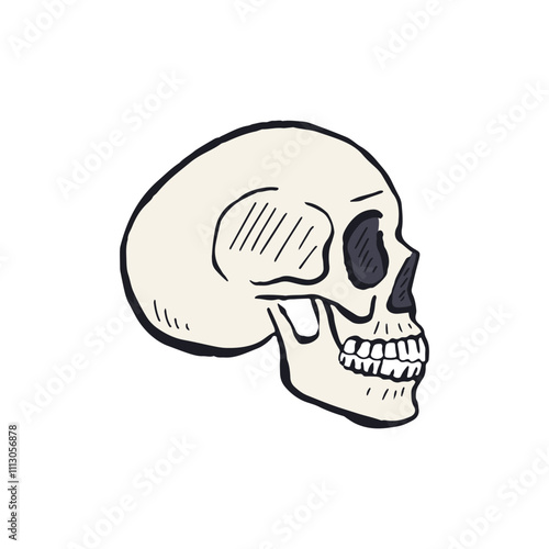 Hand drawn sketchy human skull side view isolated on white background. Doodle skeleton head tattoo design