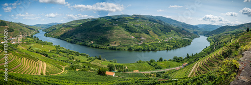 Stunning Landscape of the Douro River in Portugal