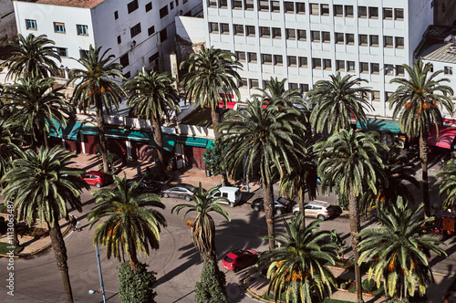 Palm-Lined Street and Urban Landscape in Casablanca photo