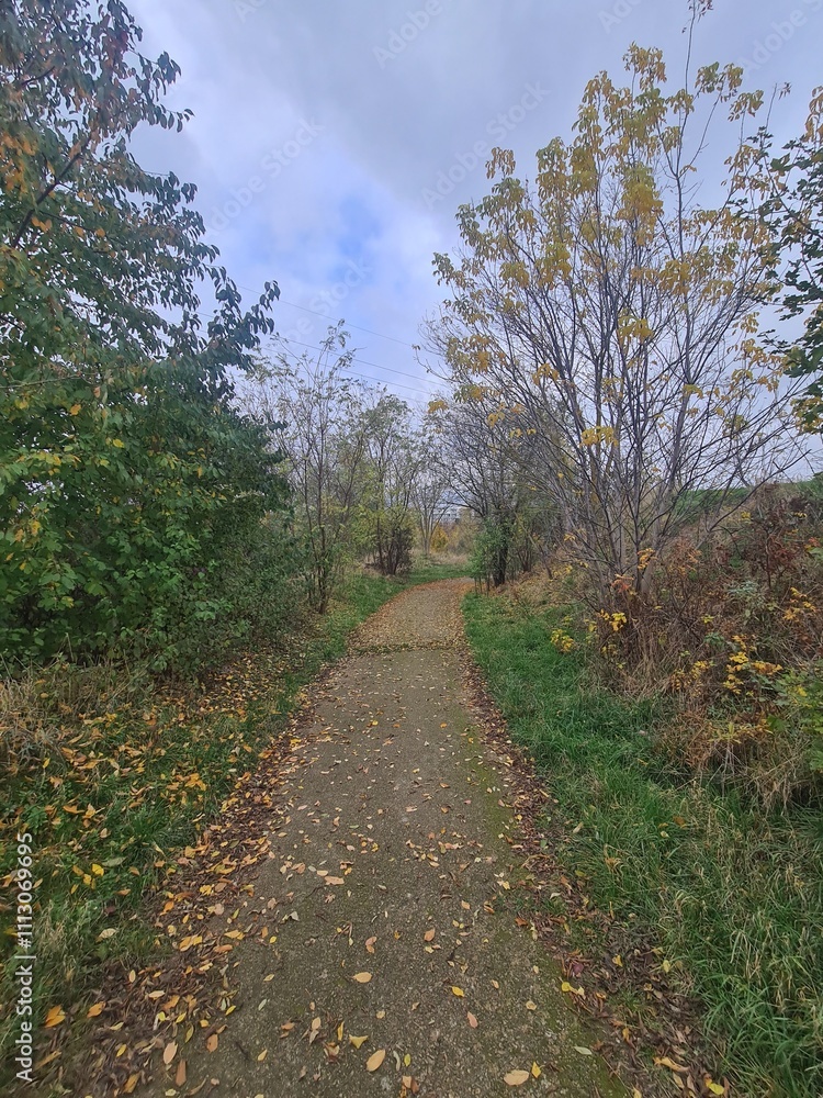 Spaziergang durch ein Parkgebiet, mit atmosphärischem Himmel, in Berlin Hellersdorf - Marzahn (Herbstsaison) Spaziergang durch ein Parkgebiet, mit atmosphärischem Himmel, in Berlin Hellersdorf - Marzahn (Herbstsaison)