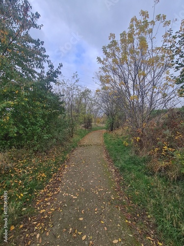 Spaziergang durch ein Parkgebiet, mit atmosphärischem Himmel, in Berlin Hellersdorf - Marzahn (Herbstsaison) photo