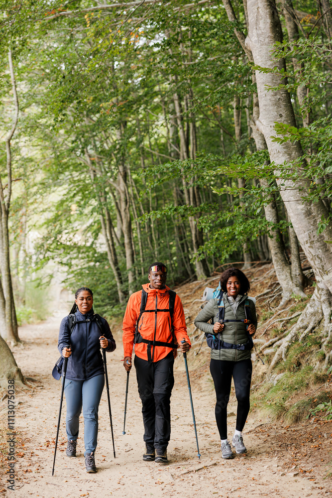 Group of hikers walking on a trail in the woods Group of hikers walking on a trail in the woods