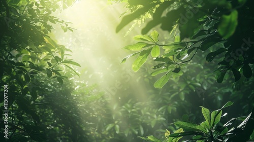 Sunbeams gently illuminate vibrant green jungle foliage, creating a serene and lush tropical forest atmosphere. .