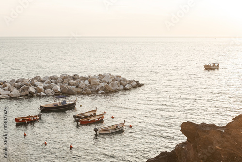 sunset landscape of manarola village in cinque terre, italy photo