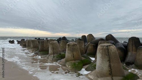 the beach of the sea