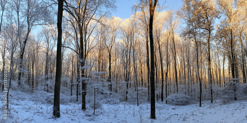 A tranquil snowy forest at dawn, with frosted trees, a clear blue sky, and the first rays of sunlight casting a golden glow. The serene and pristine setting feels peaceful. A tranquil snowy forest at dawn, with frosted trees, a clear blue sky, and the first rays of sunlight casting a golden glow. The serene and pristine setting feels peaceful.