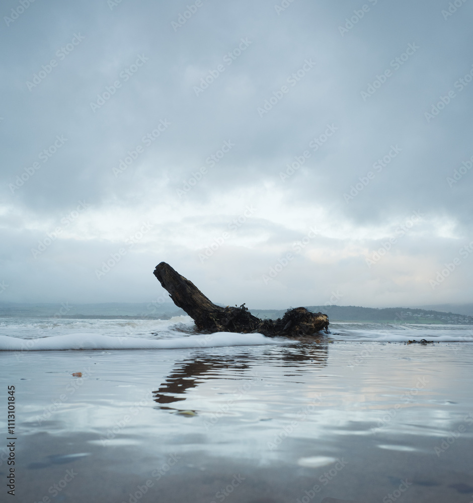 Fototapeta premium the beach in the morning