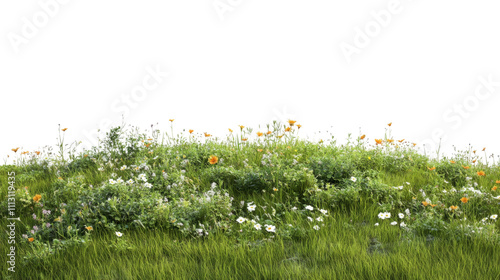 Green meadow with flowers transparent background