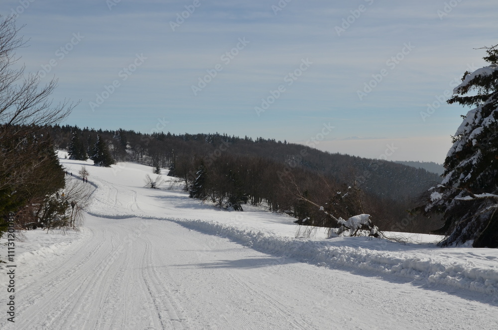 snow covered mouintain road , beskydy, czech , pustevny snow covered mouintain road , beskydy, czech , pustevny