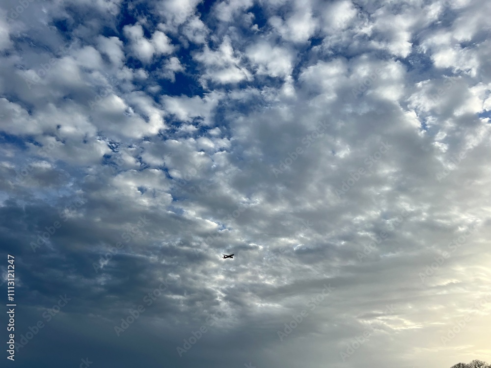 Fototapeta premium blue sky with white clouds