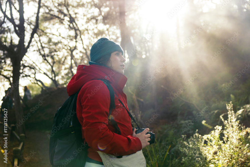 Woman walking along a forest path on a sunny winter day Woman walking along a forest path on a sunny winter day