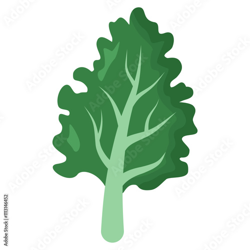 kale illustration