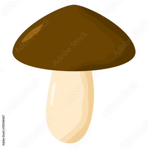 mushroom illustration