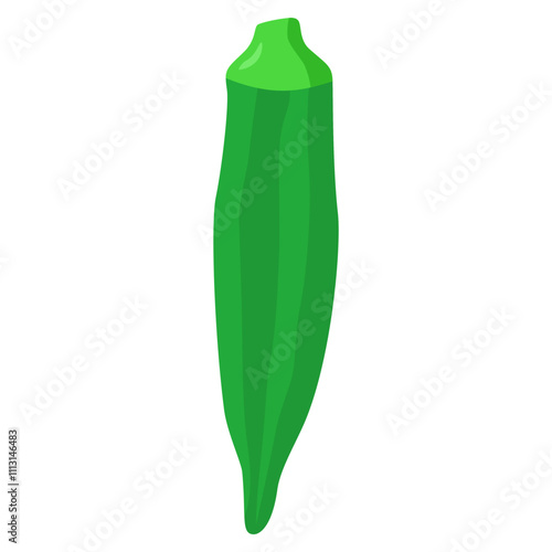 okra illustration 