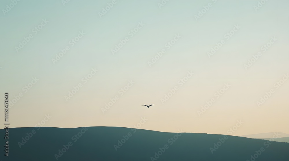 Naklejka premium A solitary dragon circling a smooth hilltop, its shadow casting a subtle outline against the muted terrain.