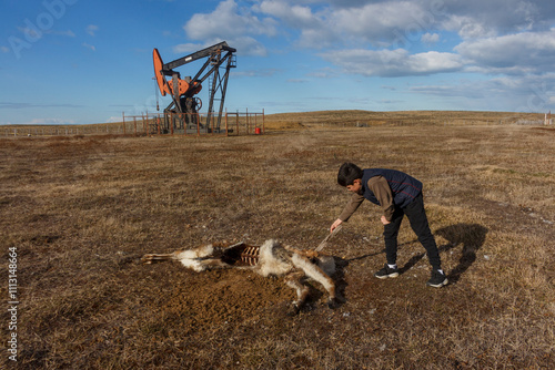 Child Examining Guanaco Remains Near an Oil Pumpjack photo