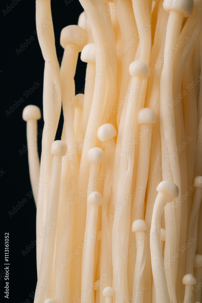 Macro Close-Up of Enoki Mushrooms Against a Dark Background Macro Close-Up of Enoki Mushrooms Against a Dark Background