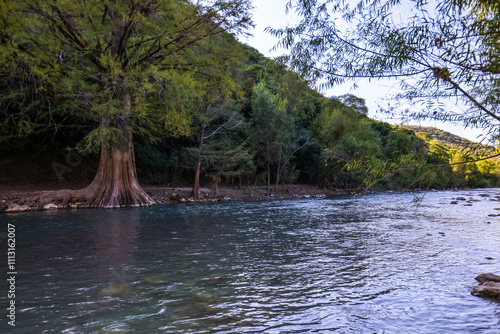 hermoso árbol en rio, arroyo seco jalapa de serra en Queretaro. Puente que te lleva al rio, arquitectura y construcción. photo