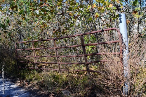 old country fence in the brush photo