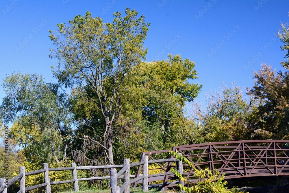 Foot bridge passing over the lock into the foliage Foot bridge passing over the lock into the foliage