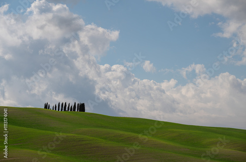 Classic Tuscan landscape in Italy photo