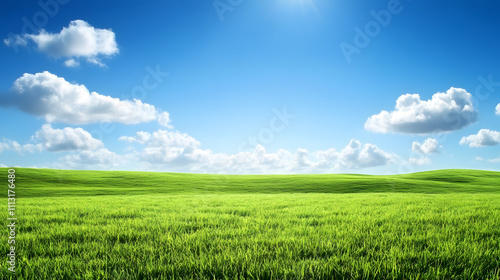 Green meadow under a clear blue sky with soft clouds and gently rolling hills, creating a serene landscape