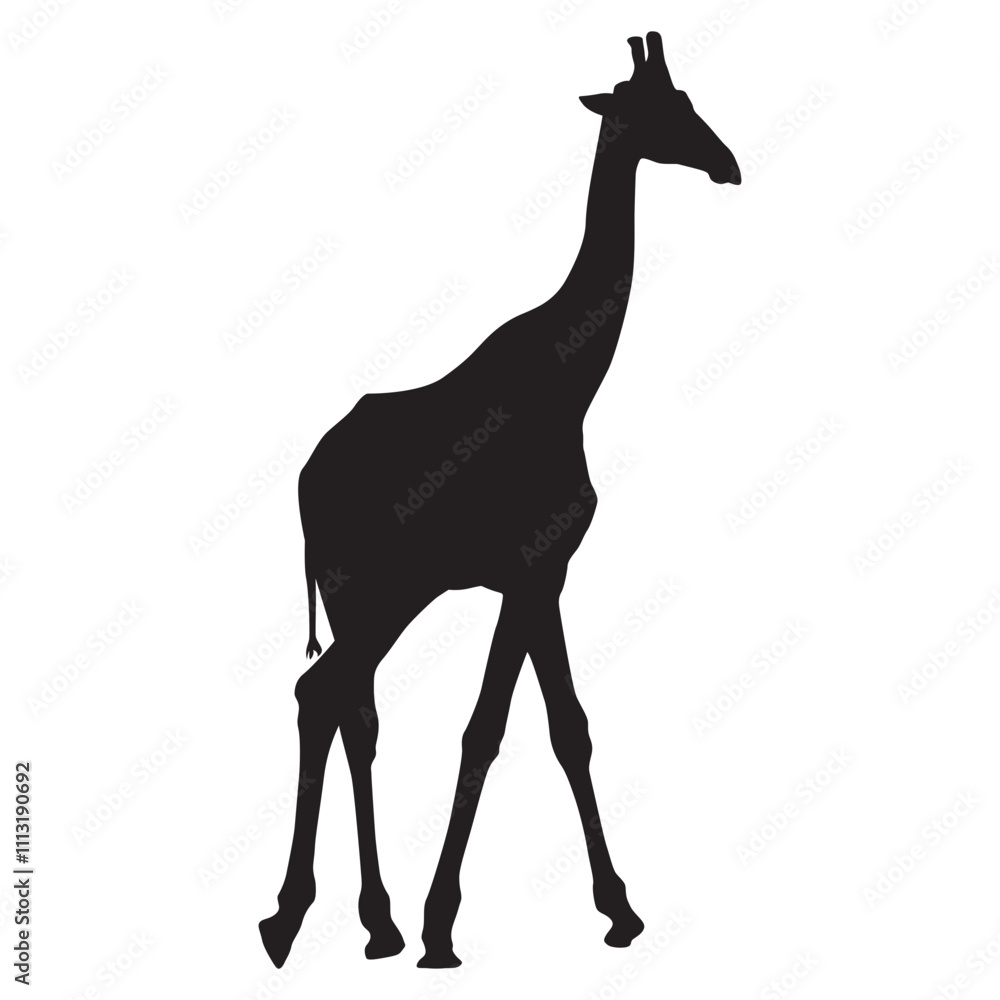 Silhouette of a Giraffe Standing in the Savannah, African Wildlife Silhouette of a Giraffe Standing in the Savannah, African Wildlife