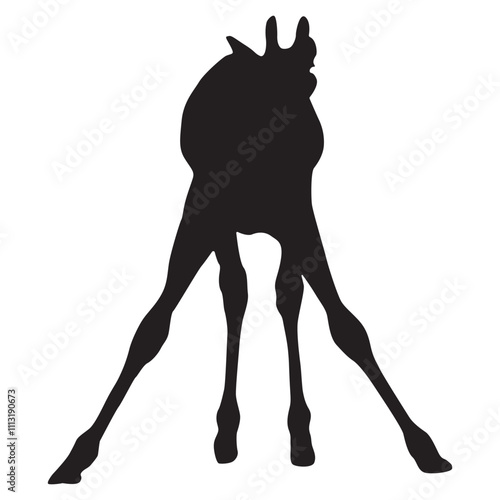 Silhouette of a Giraffe Standing in the Savannah, African Wildlife