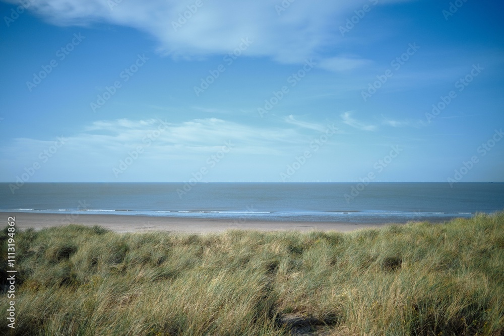 Coastal scene with waves and grasses Coastal scene with waves and grasses