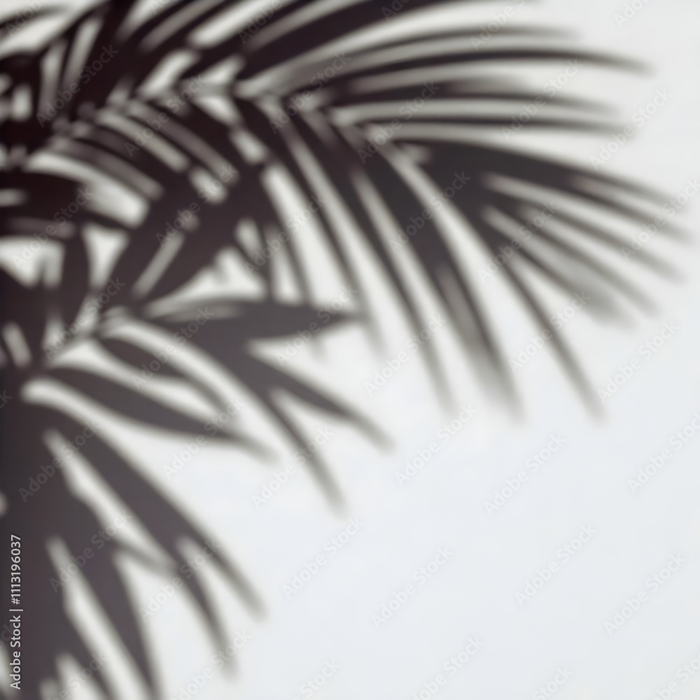 Selective focus of summer and holiday backgrounds concepts with shadow of coconut leaf on clean sand beach, wallpaper Selective focus of summer and holiday backgrounds concepts with shadow of coconut leaf on clean sand beach, wallpaper