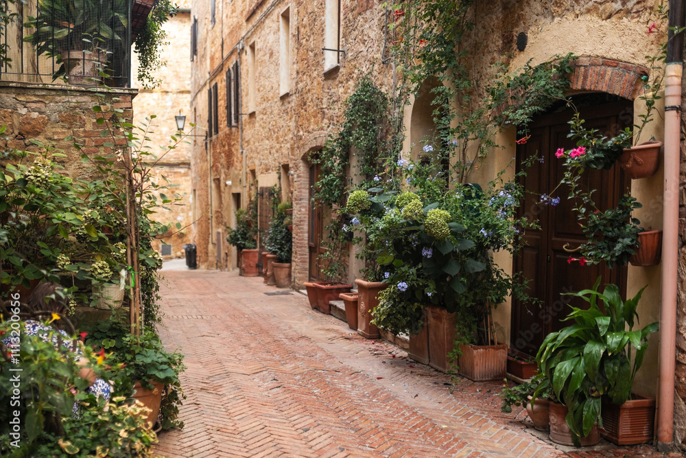 nice street with cobblestone houses full of plants in tuscany nice street with cobblestone houses full of plants in tuscany