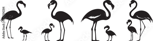 Silhouette set of flamingo bird with his baby, vector silhouette