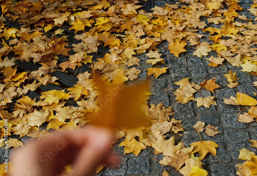 Autumn leafs with a blurry hand in front photo