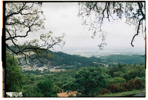 Mountain view in Monchique village, Portugal, framed by tree branches photo