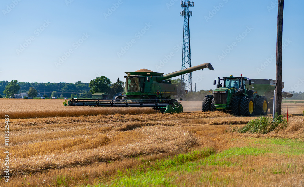 Fototapeta premium Combine harvester harvesting ripe wheat on big wheat field with tractor. Agricultural harvesting. Harvest in field. Crop harvesting agriculture. Farmland agriculture. Harvesting and agriculture