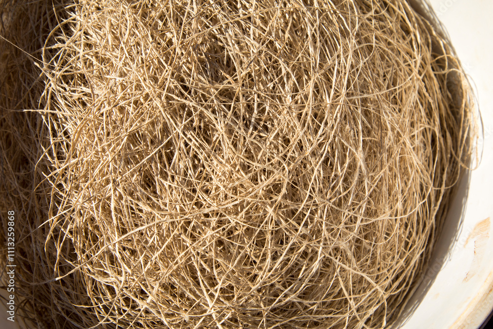 Natural fibers from hemp trees are used to make woven fabrics as folk crafts. Are clothes produced by Hmong people in northern Thailand.
Natural fibers from hemp trees are used to make woven fabrics as folk crafts. Are clothes produced by Hmong people in northern Thailand.