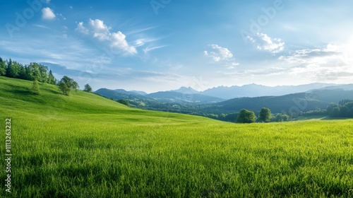 Serene Landscape with Lush Green Fields and Blue Sky