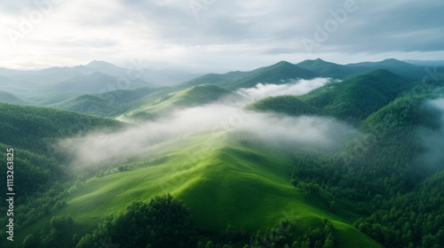 Serene Green Landscape with Misty Mountains and Lush Hills